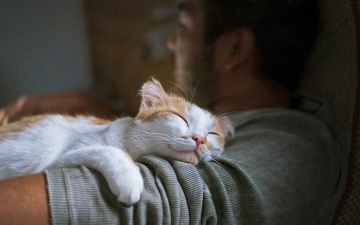 Why Do Cats Sleep on Me? – Reader’s Digest