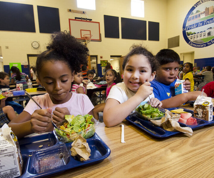 Children eat healthier school meals following Healthy, Hunger-Free Kids Act – Mirage News