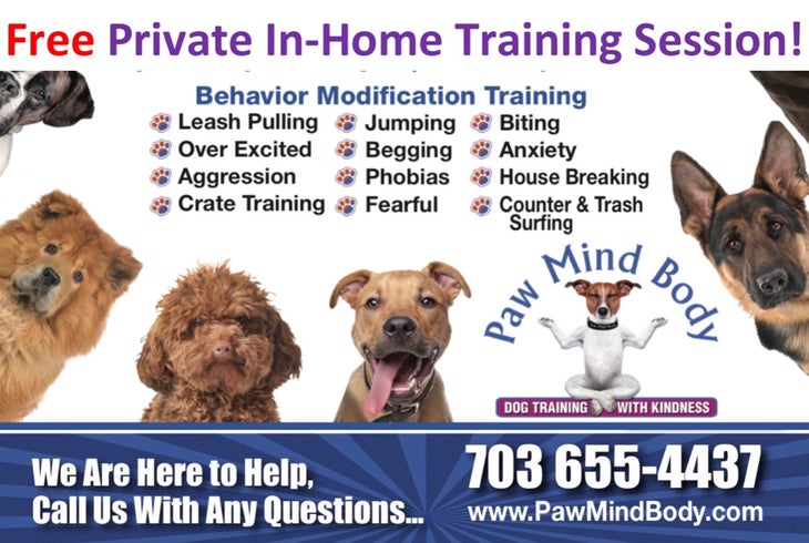 Free Private In-Home Dog Training