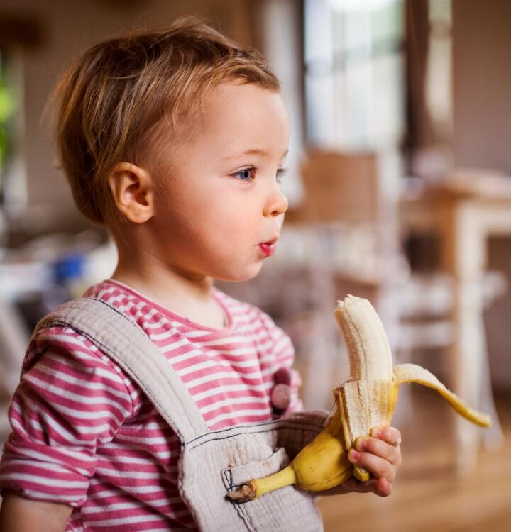 6 superfoods to include in your toddler’s diet – PINKVILLA